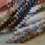  Μπότες δερμάτινες Rollini