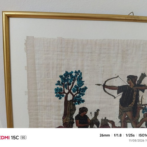 Papyrus framed art in like new condition 52x44 cm