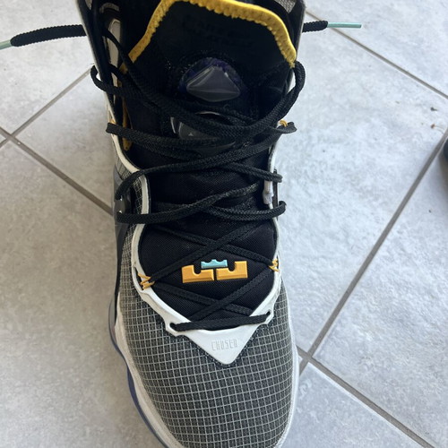 Nike LeBron sneakers size 46 used