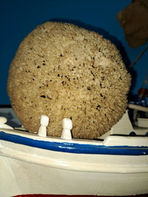 Decorative sponges new