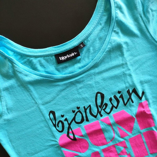 Y2K Bjorkvin graphic tee used, baby blue with retro van print