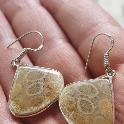 Coral fossil earrings new, silver plated 925