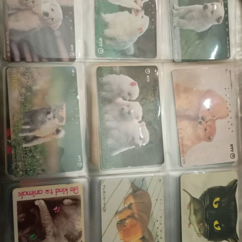 Phone cards with animals like new