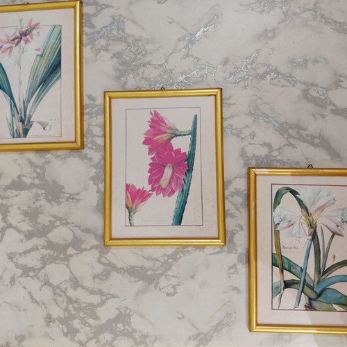 Set of three botanical prints in gold wooden frames