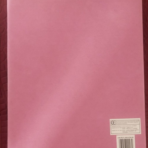 Baby's First Year Pink Metal Photo Frame Album
