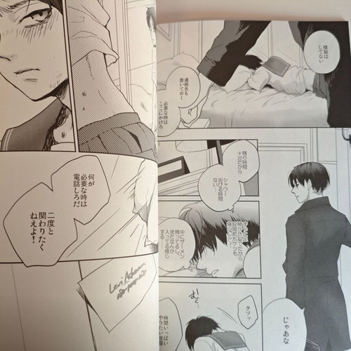 Attack on Titan BL doujinshi manga Like a Girl Levi x Eren like new