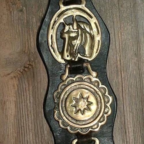 Συλλεκτικό βικτωριανό Horse Brasses σε δερμάτινο Martingale σαν καινούργιο