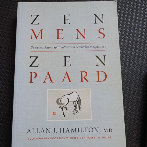 Zen Mens Zen Paard by Allan J. Hamilton like new, Dutch