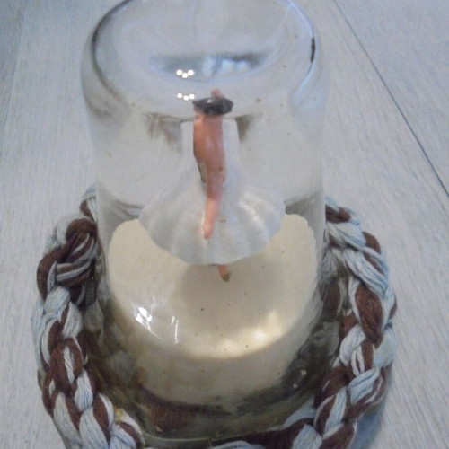 Vintage ballerina music box figure used with glass dome