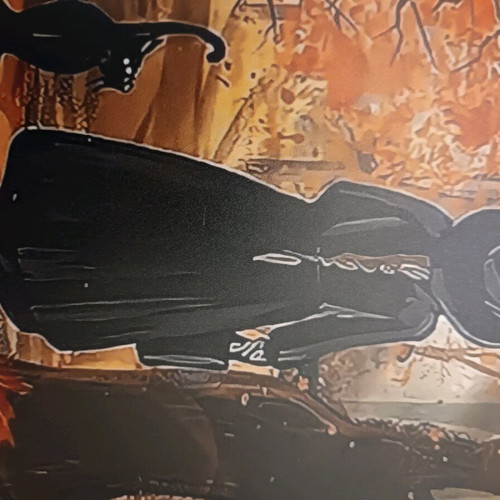 Metal sign used Retro Witches 20x30