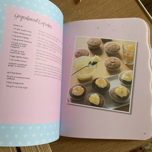 Cupcake Cookbook new, English