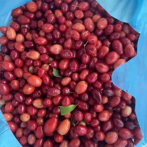 Mountain cornelian cherries from Vermio, organic