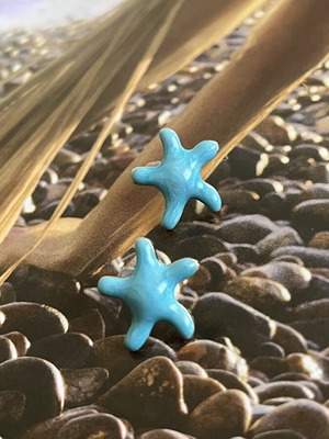 Starfish earrings new, turquoise enamel stainless steel