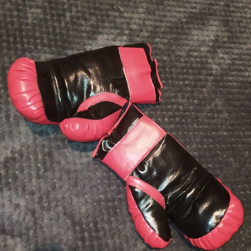 Boxing punching bag new with gloves
