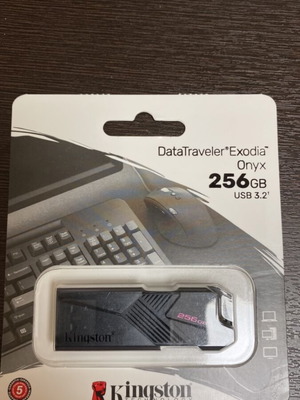 Kingston DataTraveler Exodia Onyx 256GB USB Stick new