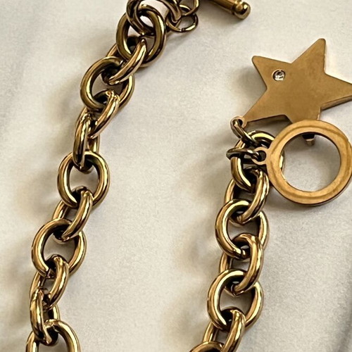 Steel bracelet used with gold tone and star charm with zircon