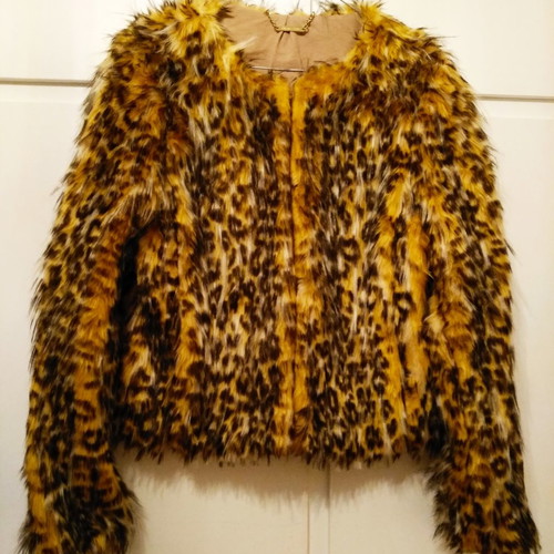 SugarFree outerwear Animal print pattern
