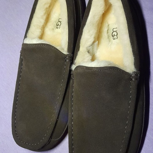 Ugg M Ascot 43 EU New Brown Loafers with Box