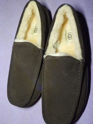 Ugg M Ascot 43 EU New Brown Loafers with Box