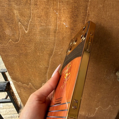 iPhone 17 Pro Max case new