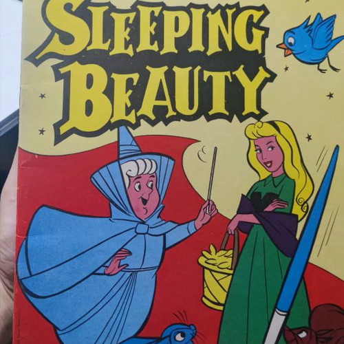 Disney Sleeping Beauty Coloring Book New