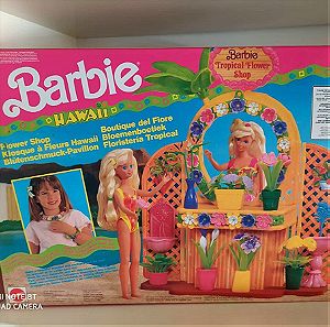 Barbie set Hawaii