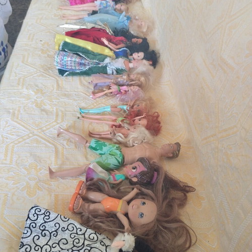 Barbie, Monster High, Winx collection with 85+ dolls, vehicles, furniture & accessories