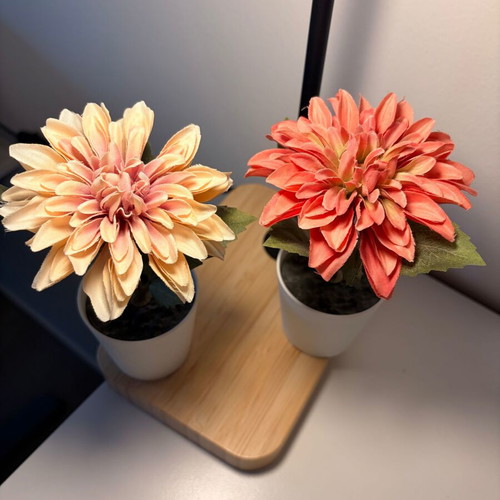 Decorative plants from IKEA, new, set of 2