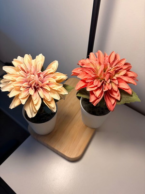 Decorative plants from IKEA, new, set of 2