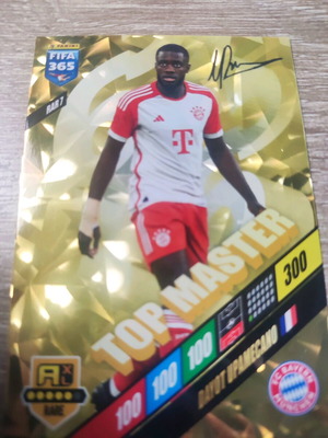 Panini collectible football card like new