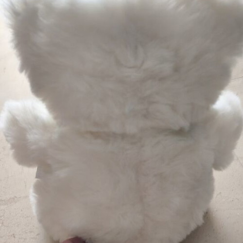 White plush teddy bear used, 30cm height, vintage style