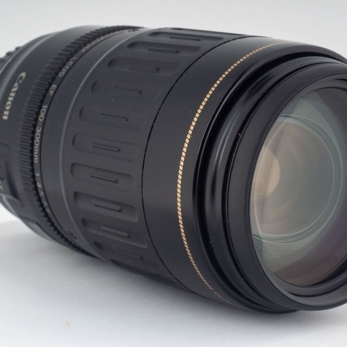 Canon EF 100-300mm f/4.5-5.6 USM Telephoto Zoom Lens used