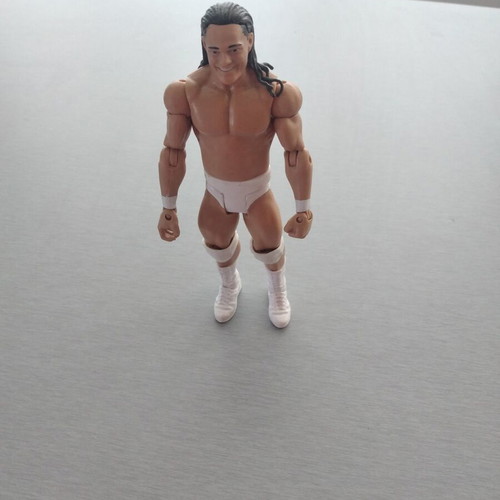 Bo Dallas WWE Pro-Wrestling Action Figure toy like new