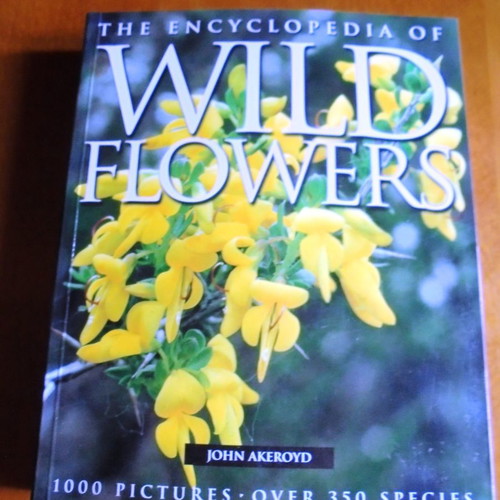 The Encyclopedia of Wild Flowers used, illustrated color guide