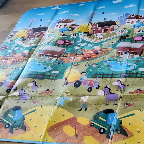 Playmat Prince Lionheart reversible like new