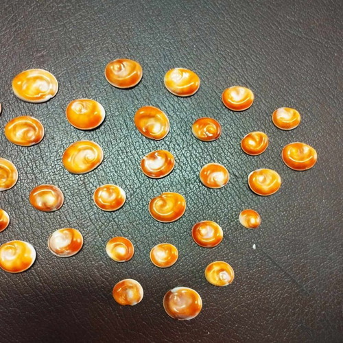 Sea eyes new, pack of 30 pieces for jewelry making