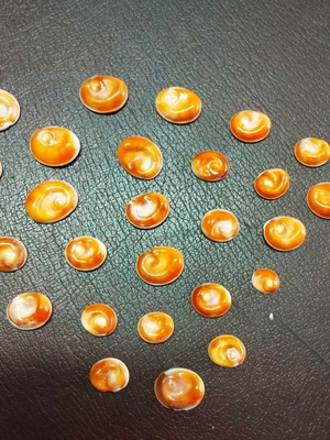 Μάτια της θάλασσας καινούργια, πακέτο 30 κομμάτια για κοσμήματα