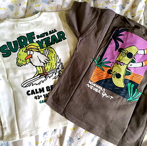 2 t shirt ZARA