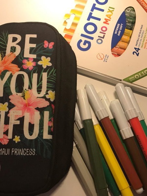Pencil case with markers and box of oil pastels like new