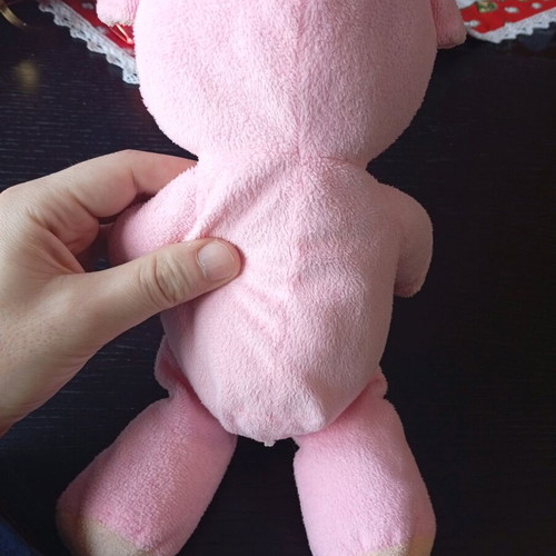 Plush pig used with Love heart