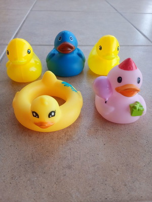Rubber duck toys, pack of 5