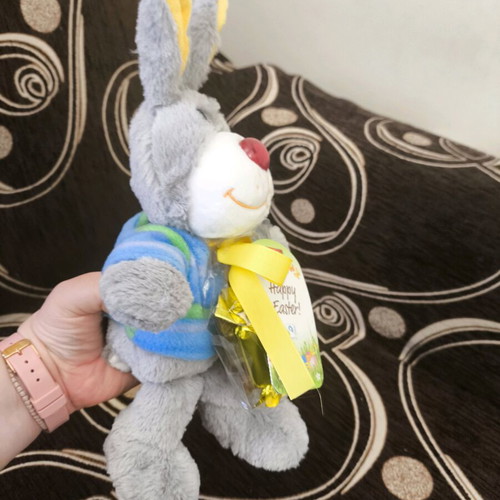 Plush Bunny new with chocolates and candies, Old MacDonald Had a Farm