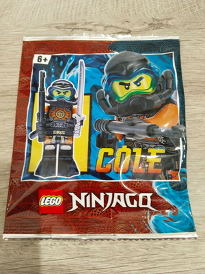 Ninjago miniature figure