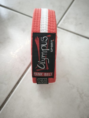 Olympus Sport Martial Arts Belt like new, size 260cm