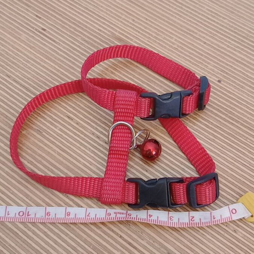 Dog and rabbit collars like new, set of 3 red straps