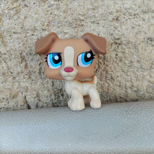 Littlest Pet Shop Hasbro collection like new, 70+ figures