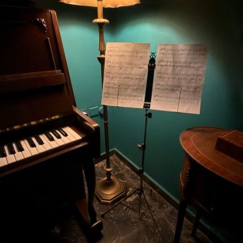 Folding metal music stand like new with carrying case