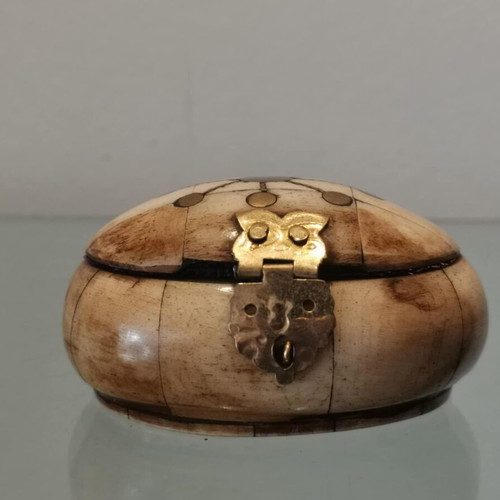 Bone jewelry box vintage used with brass details