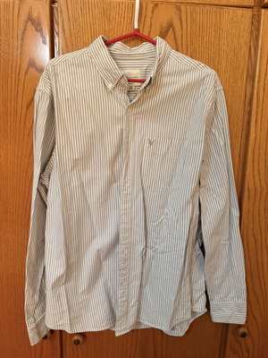 American Eagle Striped Button Down Shirt New, Beige White, Classic Fit L