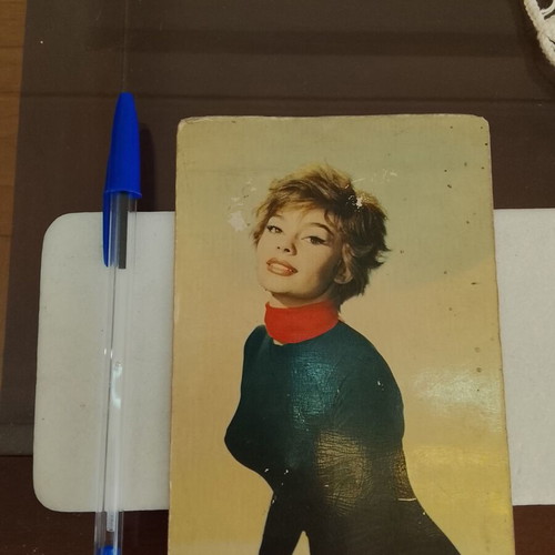 Vintage French postcard with actress Pascale Petit used